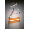 Lucite Shooting Star Embedment Award